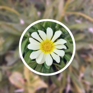 嗯灬啊灬把腿张开灬所有视频在线观看
